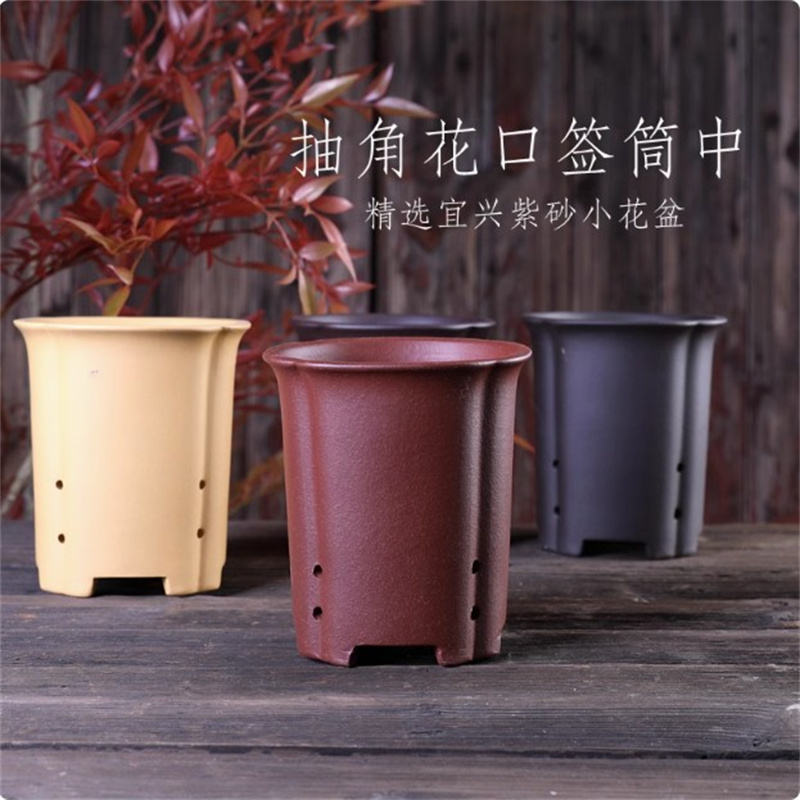 Bonsai Garden Chinese Garden - Purple Clay Handmade Pottery Bonsai Pot
