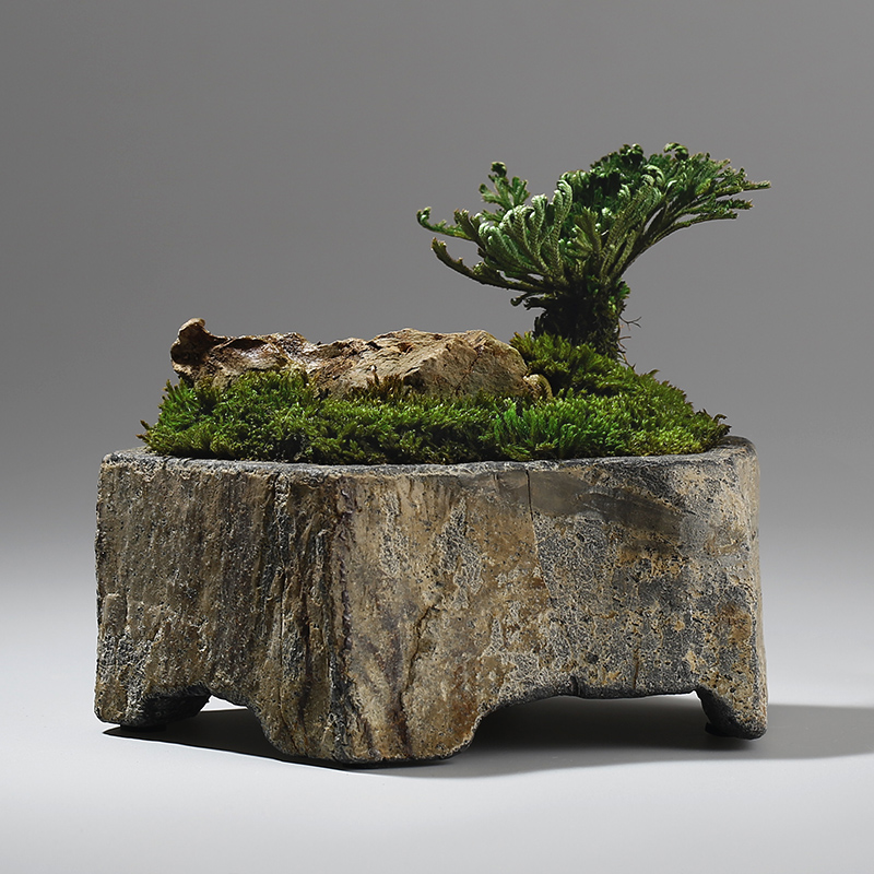 Basalt Natural Stone Flower Po - Bonsai Garden Chinese Garden ulasan dan harga