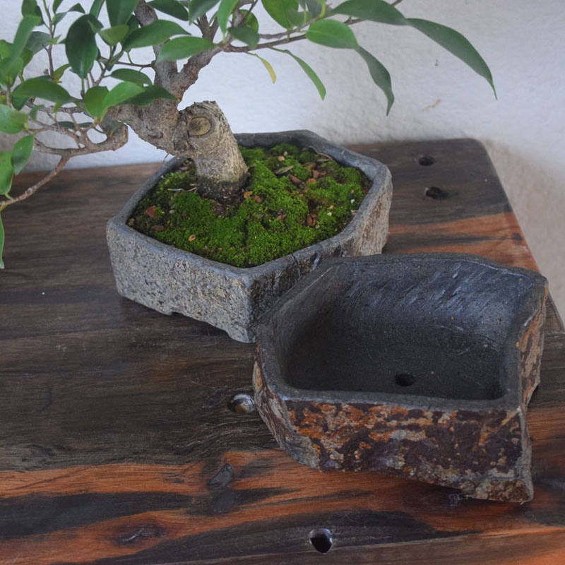 Basalt Natural Stone Flower Po - Bonsai Garden Chinese Garden ulasan dan harga