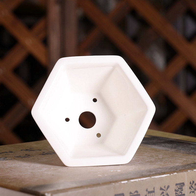 Porcelain Hexagon Bonsai Pot,S - Bonsai Garden Chinese Garden ulasan dan harga