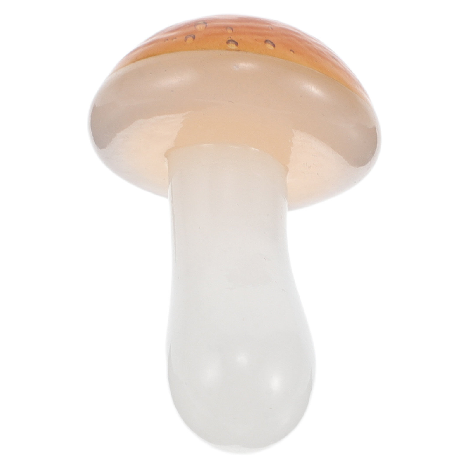 Mini Mushroom Ornament for Hom - Bonsai Garden For Desk ulasan dan harga