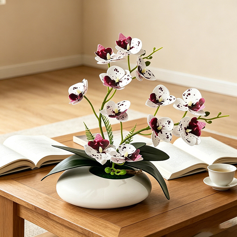 Butterfly Orchid 12 Flower Bon - Bonsai Garden Decor ulasan dan harga
