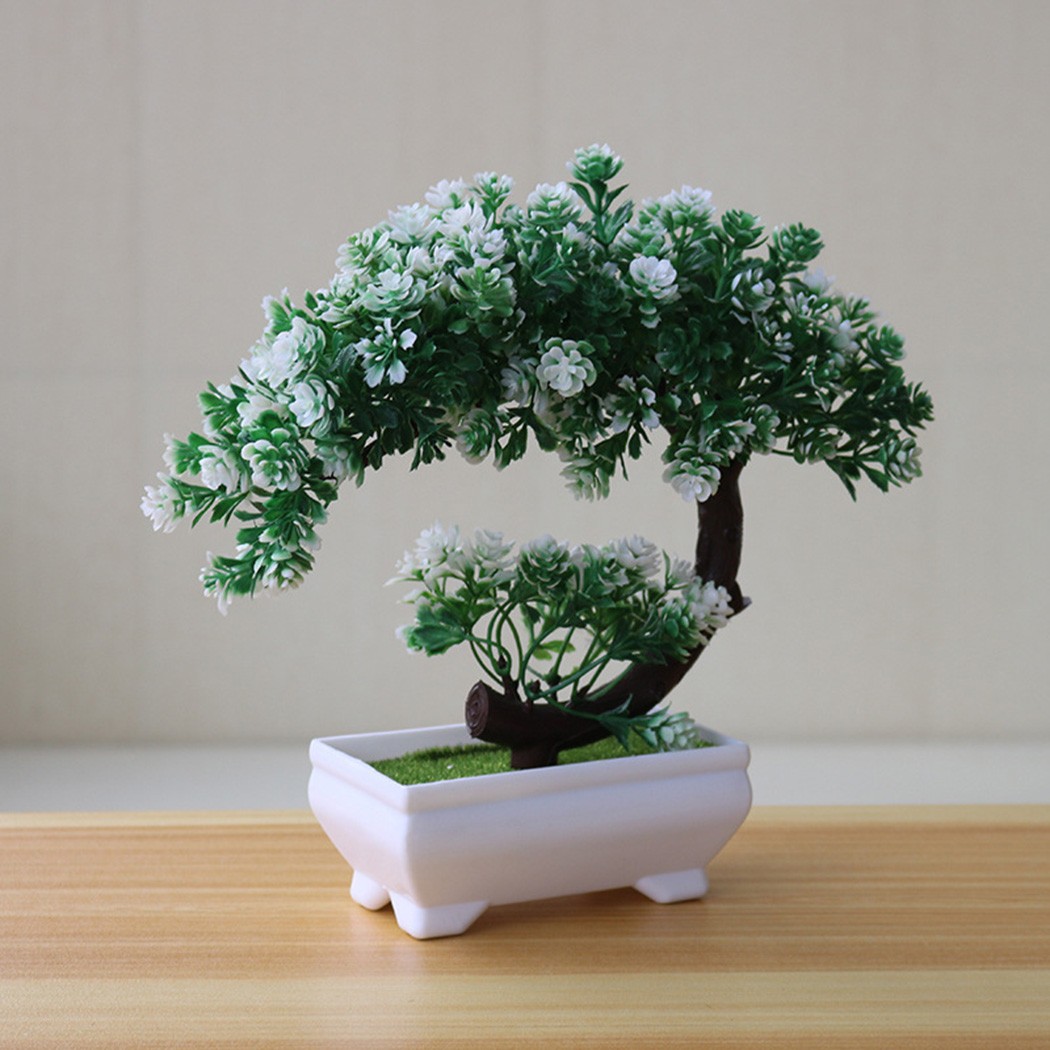 Plastic potted bonsai ornament - Bonsai Garden For Desk ulasan dan harga